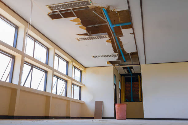 Best Water damage contractors near me  in Keaau, HI