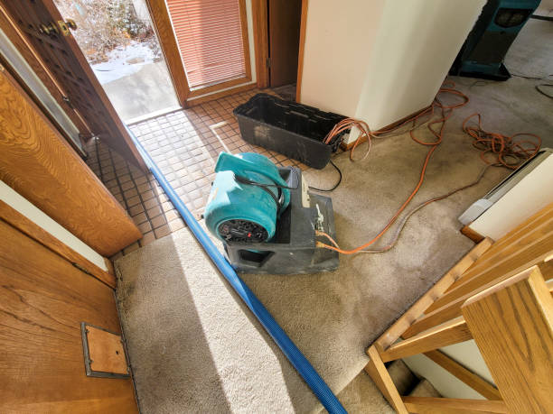 Trusted HI Water damage restoration Experts