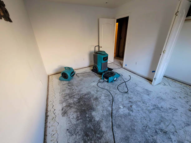Best 24/7 water damage repair  in Keaau, HI