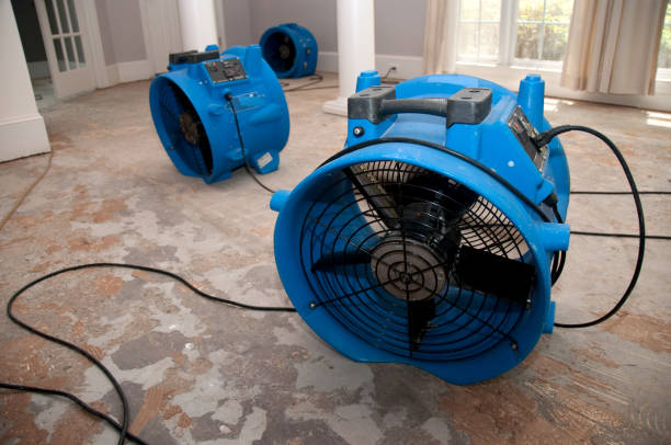 Best Professional water damage repair  in Keaau, HI