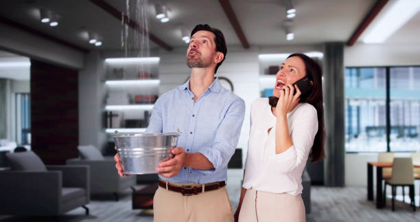 Best Mold removal after water damage  in Keaau, HI