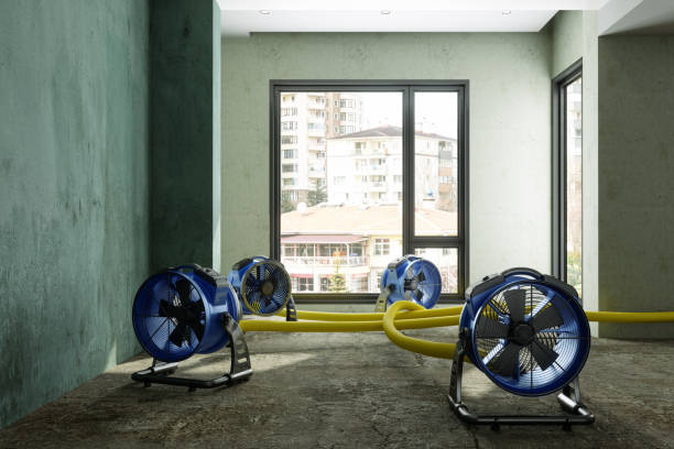 Water damage restoration insurance claims in HI