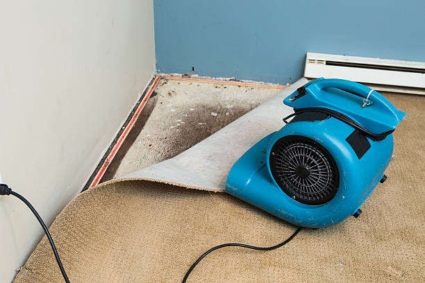 Best Residential water damage restoration  in Keaau, HI